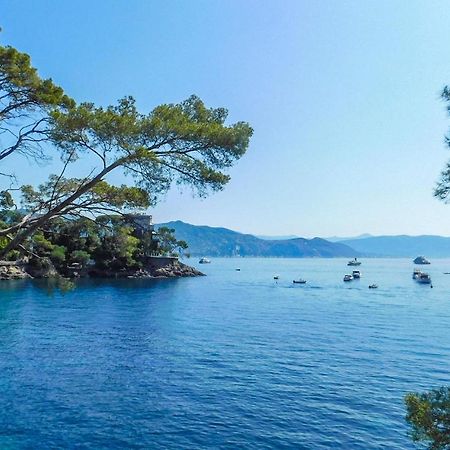Mimosa Διαμέρισμα Ραπάλο Εξωτερικό φωτογραφία